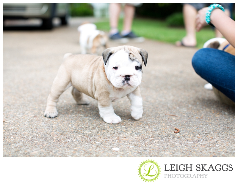 New Visit with our Little Guy, Wilbur!  