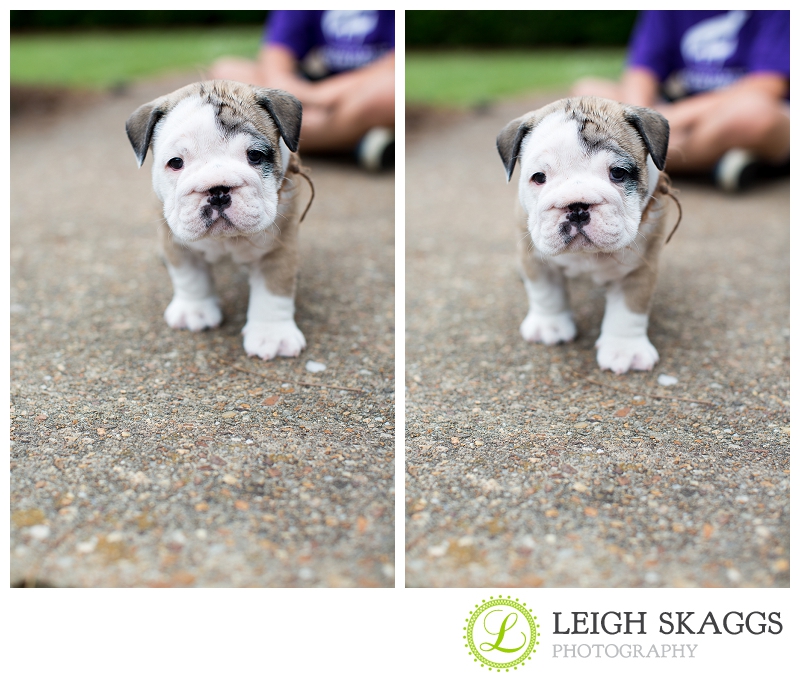 New Visit with our Little Guy, Wilbur!  