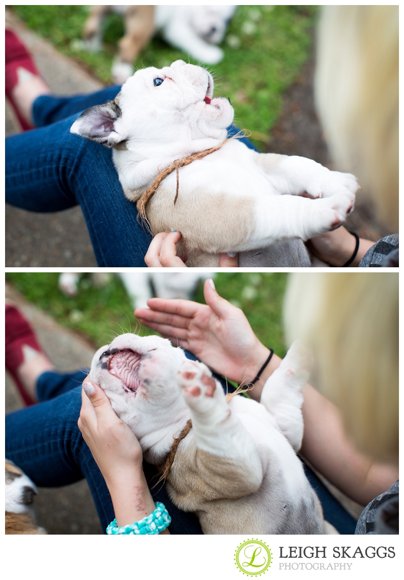 New Visit with our Little Guy, Wilbur!  