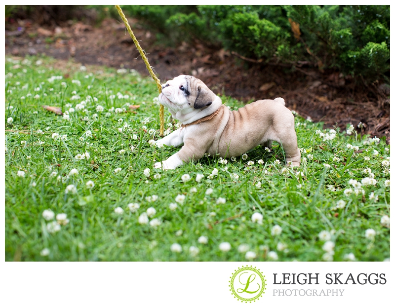 New Visit with our Little Guy, Wilbur!  
