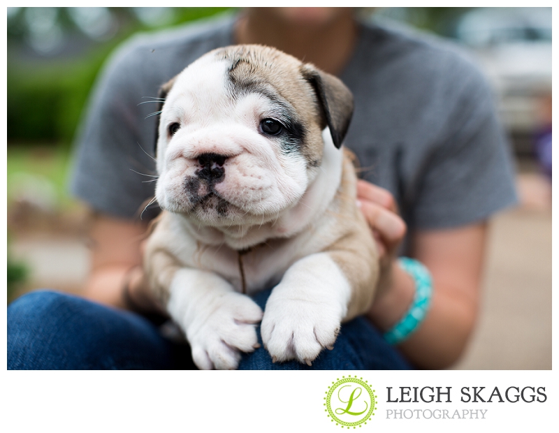 New Visit with our Little Guy, Wilbur!  