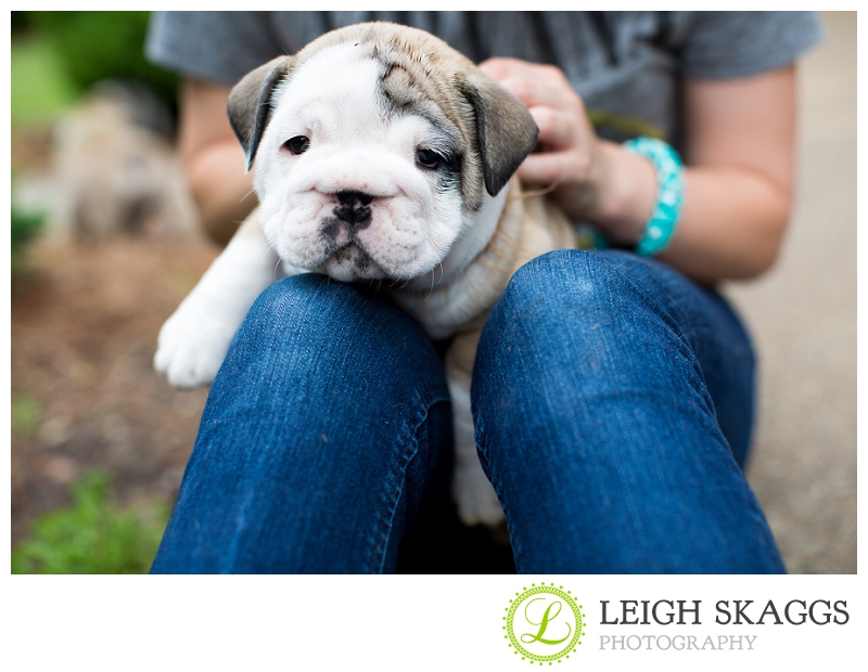 New Visit with our Little Guy, Wilbur!  