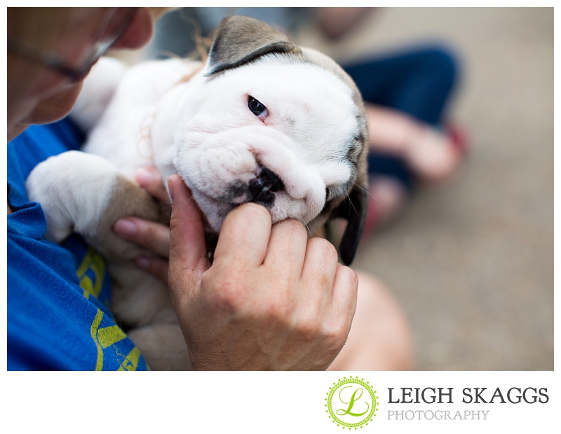 New Visit with our Little Guy, Wilbur!  