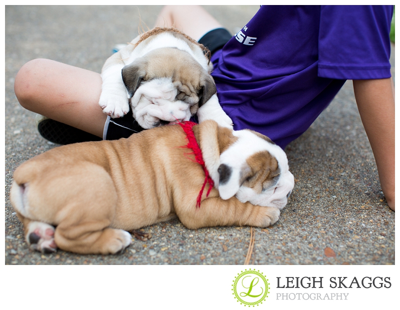New Visit with our Little Guy, Wilbur!  
